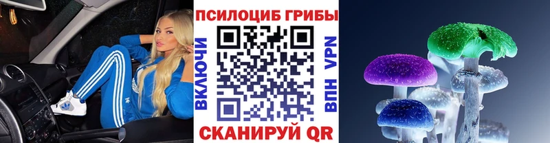 Псилоцибиновые грибы Cubensis  кракен онион  Истра 