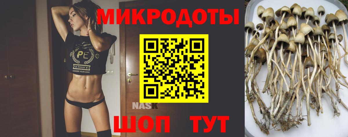 Галлюциногенные грибы GOLDEN TEACHER  Вход с VPN  Истра  Псилоцибиновые грибы Cubensis 